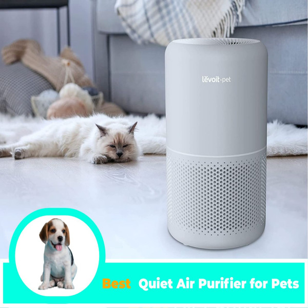 Purrfectly Quiet: Top 6 Best Quiet Air Purifier for Pets Owners 2023